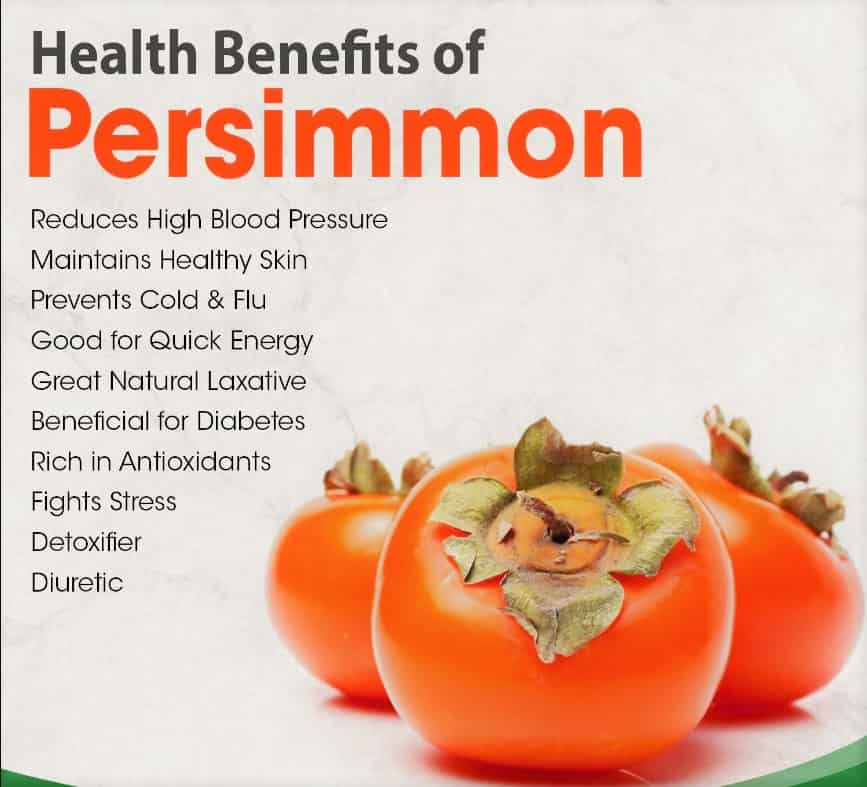 Benefits of Persimmons for Dogs